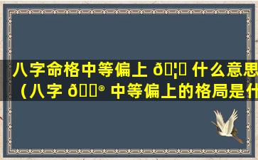 八字命格中等偏上 🦅 什么意思（八字 💮 中等偏上的格局是什么水平）